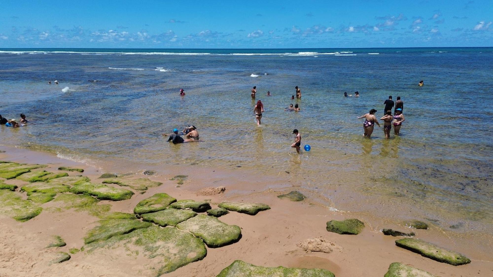 A Casa Da Praia Do Forte Bagian luar foto
